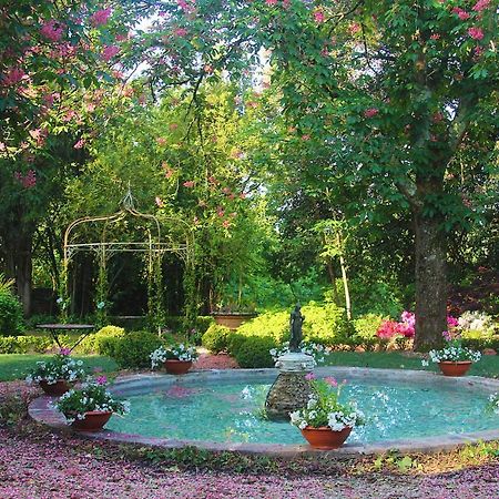 La Striscia Wine Resort Arezzo Extérieur photo