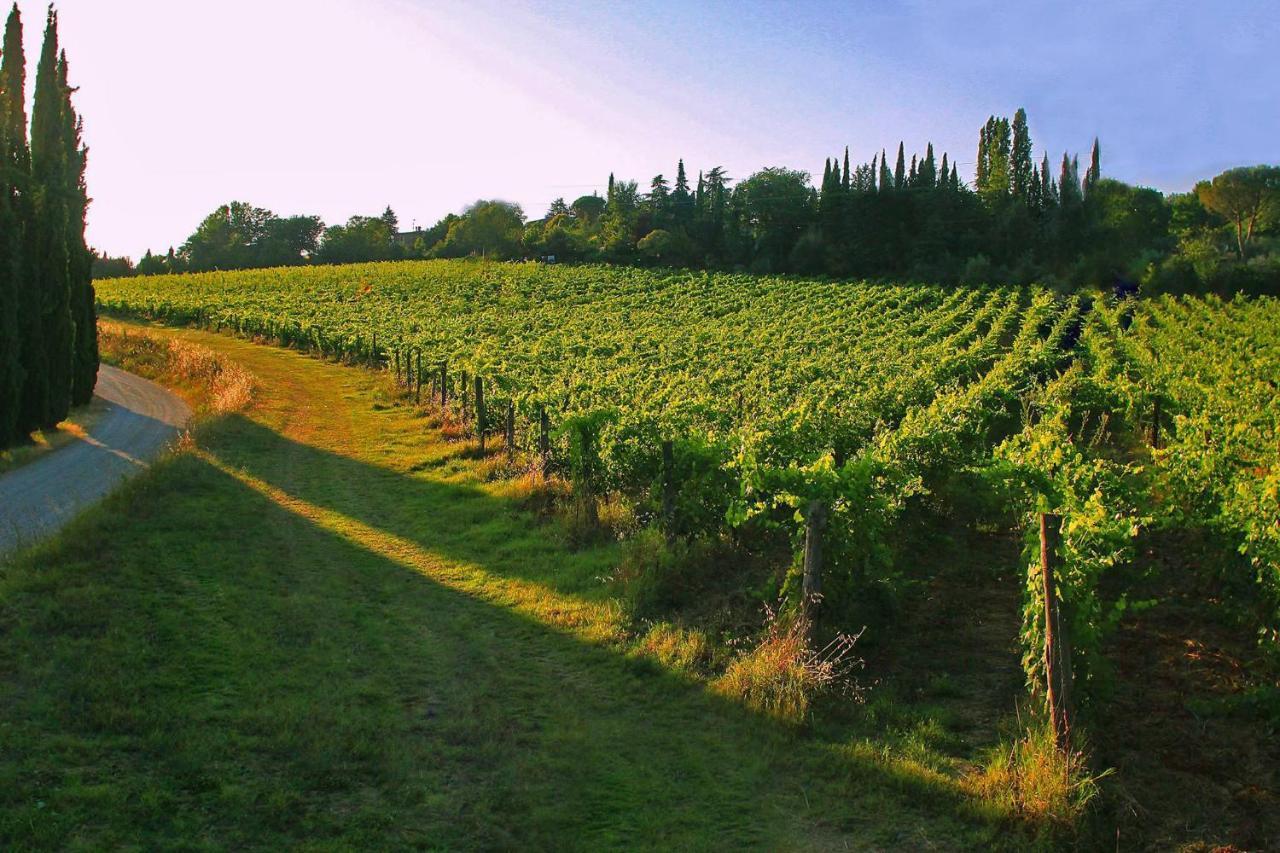 La Striscia Wine Resort Arezzo Extérieur photo